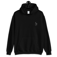 Gojo Domain Expansion Unisex Hoodie